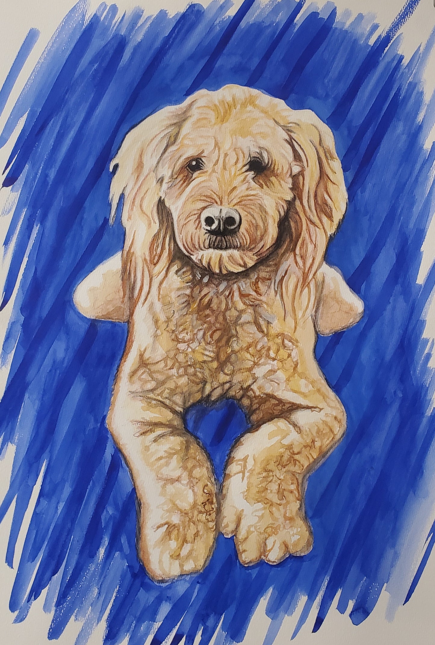 Personalized Pet Portraits.